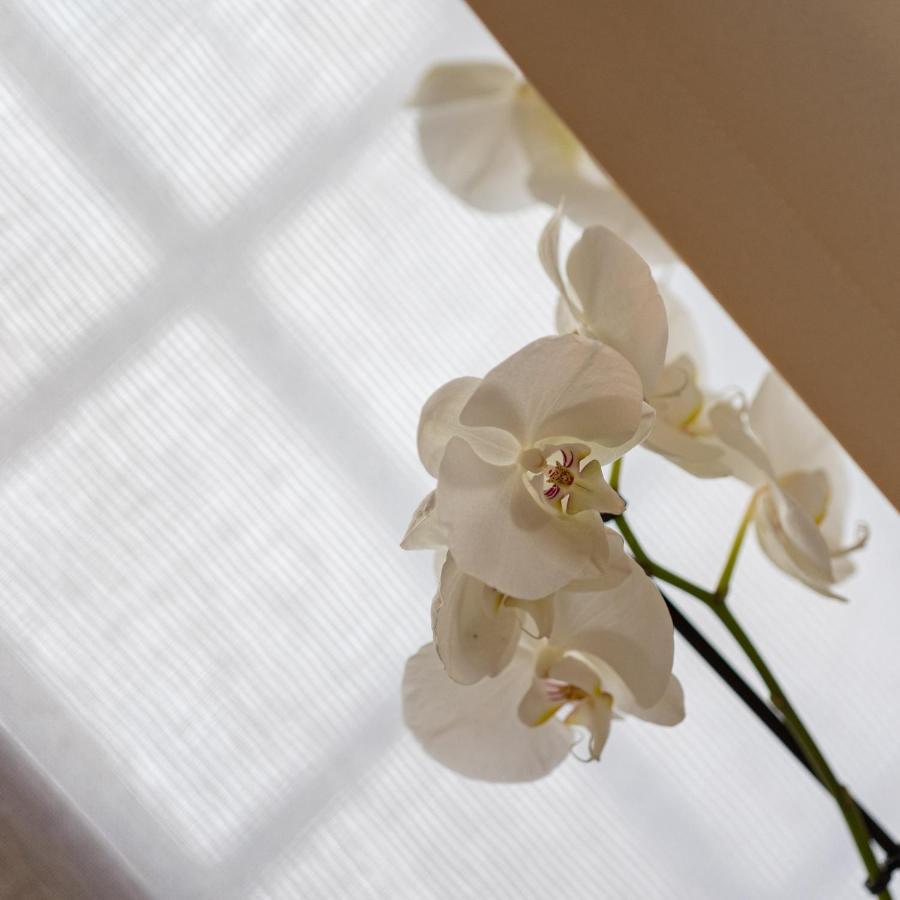 Corte Degli Ostinati Variano エクステリア 写真
